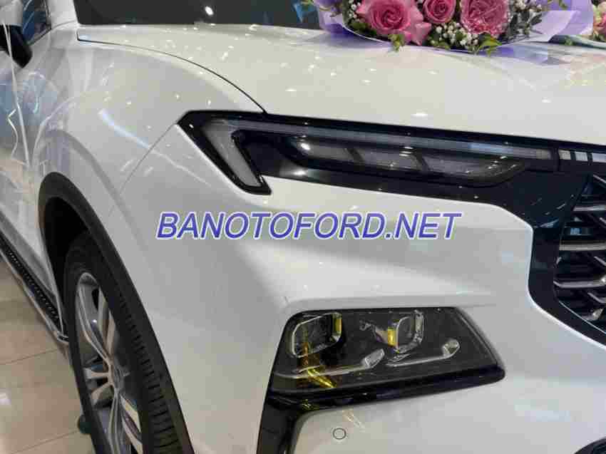 Xe Ford Territory Titanium X 1.5 AT model 2024 - xe đẹp