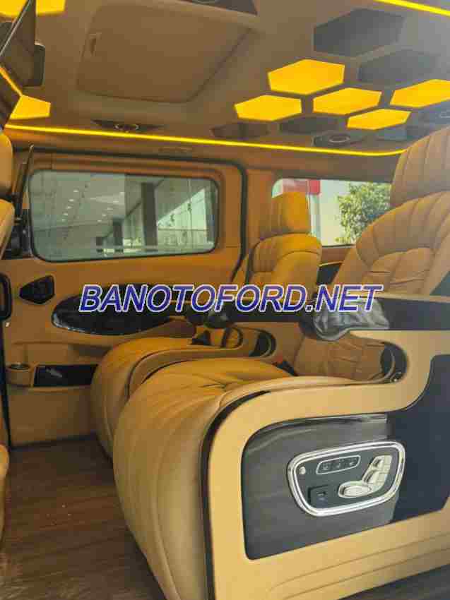 Cần bán gấp xe Ford Tourneo Limousine 2.0 AT năm 2019, màu Đen, Số tự động