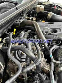 Ford Everest Titanium 2.0L 4x4 AT 2022 Máy dầu đẹp long lanh