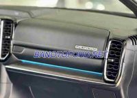 Cần bán xe Ford Everest Platinum 2.0L 4x4 AT 2024, xe đẹp