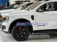 Ford Ranger Stormtrak 2.0L 4x4 AT sx 2025 Máy dầu