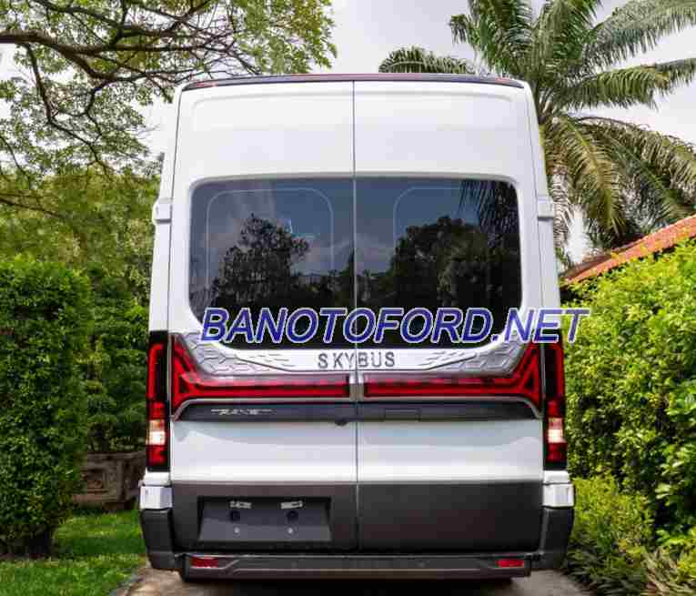 Ford Transit Limousine 12S 2025  Số tay, GIÁ GIẬT MÌNH