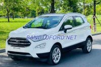 Cần bán xe Ford EcoSport Titanium 1.5L AT 2019, xe đẹp