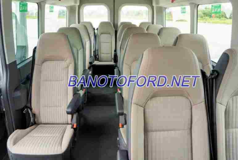 Ford Transit Trend năm 2025