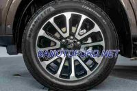 Ford Everest Platinum 2.0L 4x4 AT năm 2025