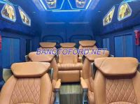 Ford Transit Limousine 12S năm 2025