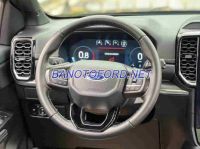 Cần bán gấp xe Ford Everest Platinum 2.0L 4x4 AT 2025 màu Đen