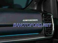 Ford Everest Platinum 2.0L 4x4 AT Số tự động năm 2026