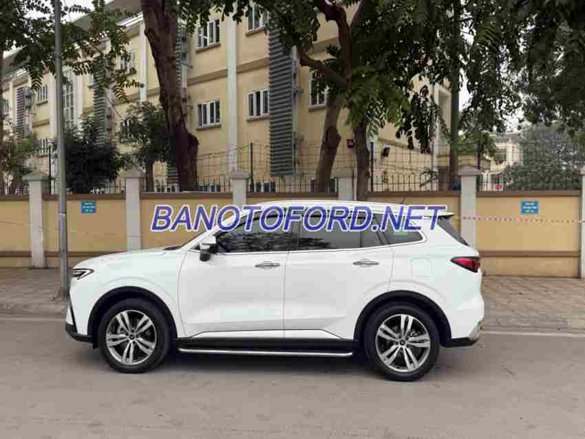 Cần bán xe Ford Territory Titanium X 1.5 AT 2023 Số tự động màu Trắng