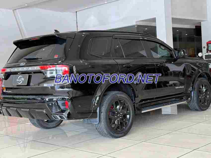 Cần bán gấp Ford Everest Titanium Plus 2.0L 4x4 AT đời 2024, màu Đen