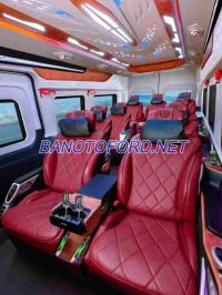 Cần bán nhanh Ford Transit Limousine 12S 2025 cực đẹp