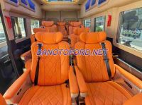 Cần bán xe Ford Transit Limousine 12S 2025 Số tay màu Đen