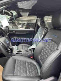Bán xe Ford Everest Platinum 2.0L 4x2 AT 2026 giá kịch sàn