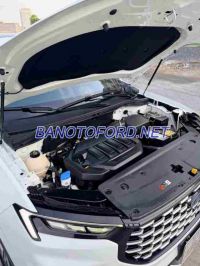 Cần bán xe Ford Territory Titanium X 1.5 AT 2023 Số tự động màu Trắng